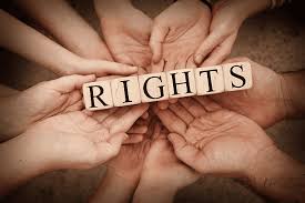 Understanding the Role of a Human Rights Lawyer