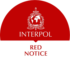 Understanding the Role of Interpol Defense Lawyers 1337287066