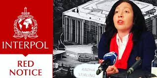 Understanding the Role of Interpol Defense Lawyers 1337287066