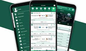 Comprehensive BetWinner Review Exploring Features, Bonuses, and Betting Options Comprehensive BetWinner Review Exploring Features, Bonuses, and Betting Options
