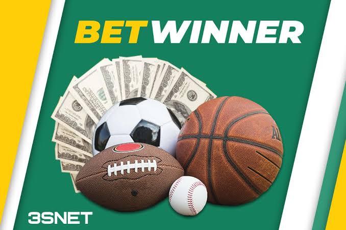 Discover the World of BetWinner Casino and Sportsbook